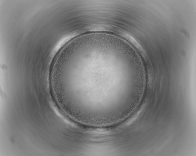 X0000091230986200708091414