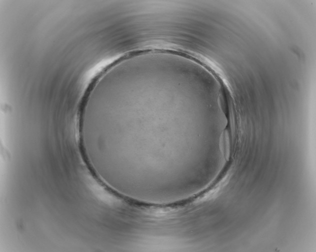 X0000091230987200708091414