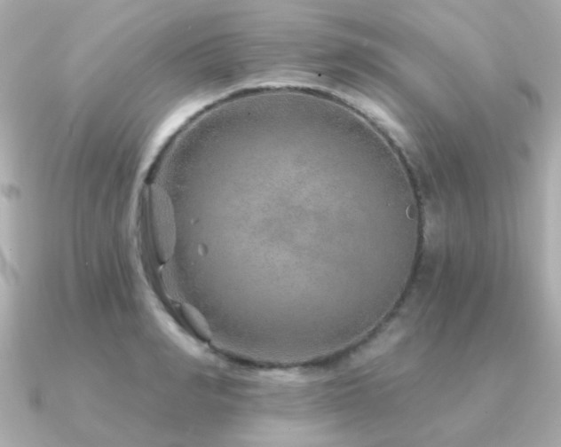 X0000091230990200708091414