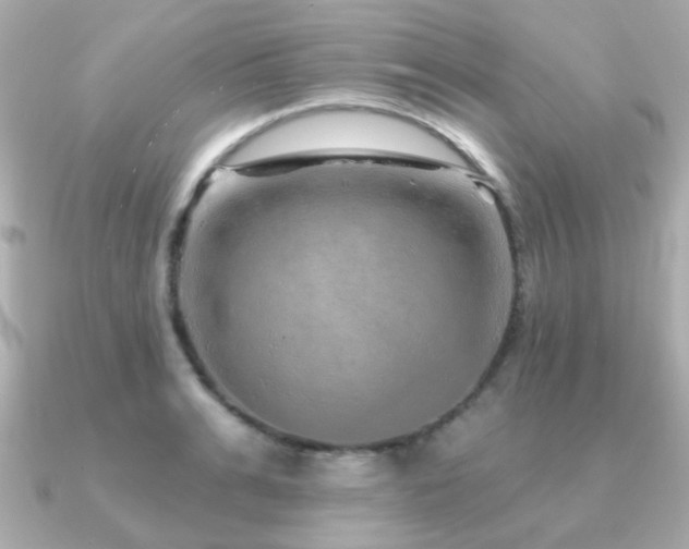 X0000091230991200708091414