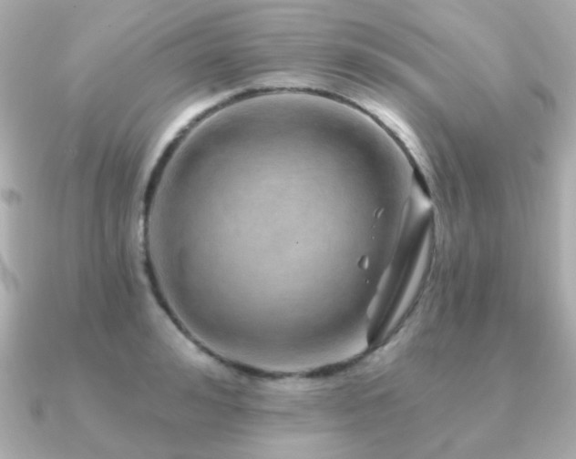 X0000091230992200708091414