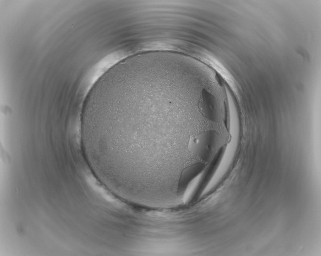 X0000091230994200708091414