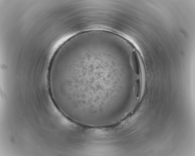 X0000091230995200708091414