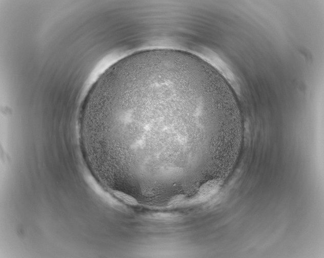 X0000091230998200708091414