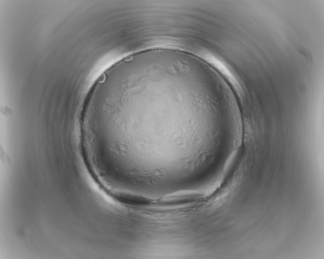X0000091230999200708091414