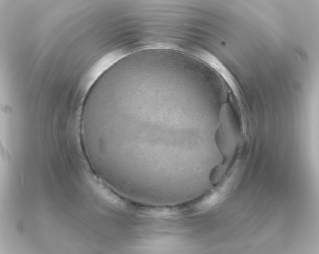 X0000091231002200708091414