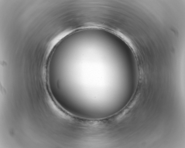 X0000091231003200708091414