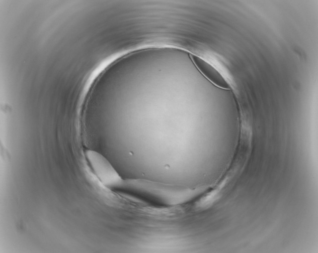 X0000091231004200708091414