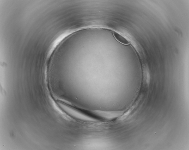 X0000091231006200708091414