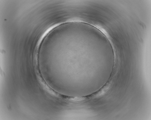 X0000091231008200708091414