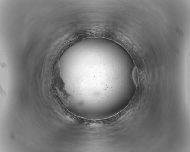 X0000091231009200708091414