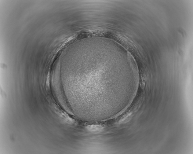 X0000091231010200708091414