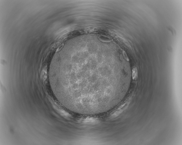 X0000091231011200708091414