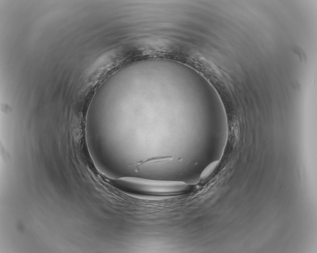 X0000091231012200708091414