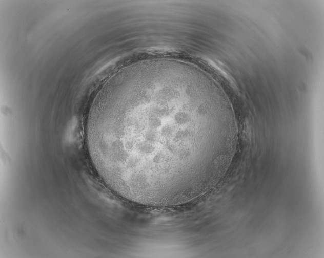 X0000091231015200708091414
