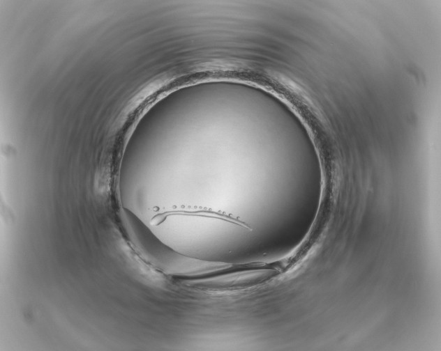 X0000091231017200708091414