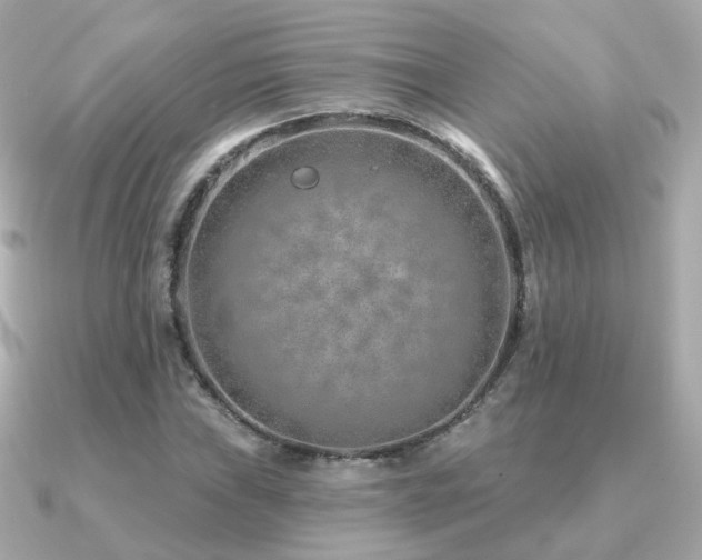 X0000091231019200708091414