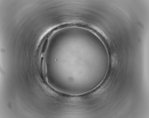X0000091231021200708091414