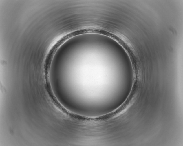 X0000091231022200708091414