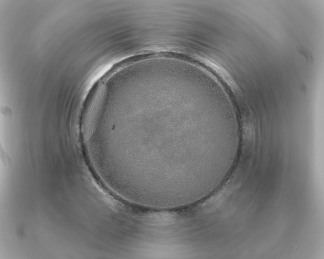 X0000091231023200708091414