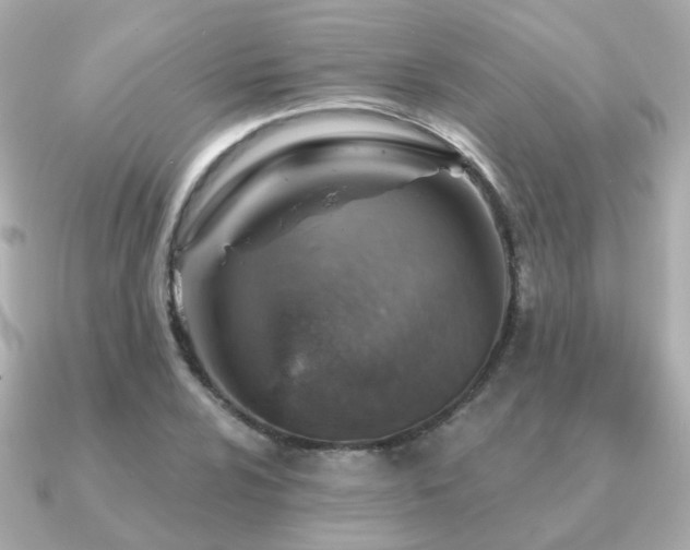 X0000091231024200708091414