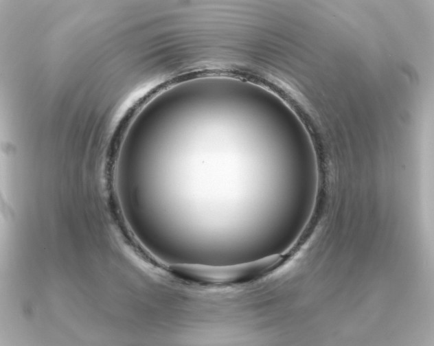 X0000091231026200708091414