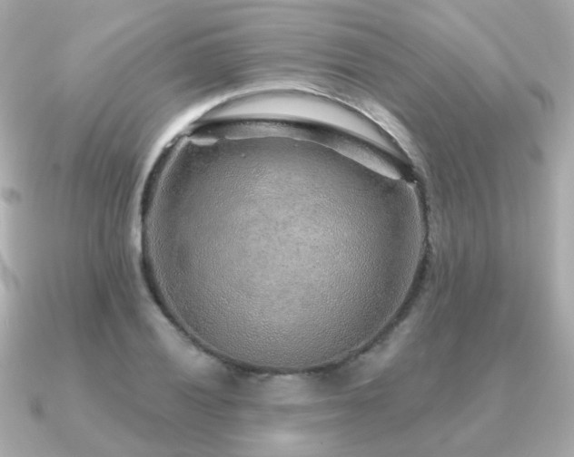 X0000091231028200708091414