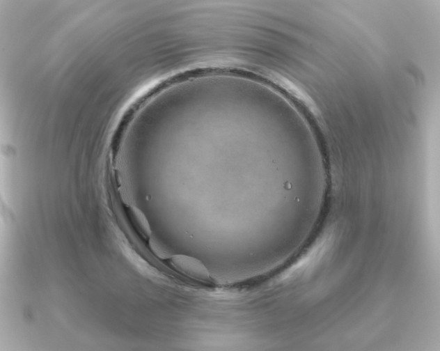 X0000091231029200708091414