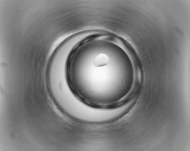 X0000091231030200708091414