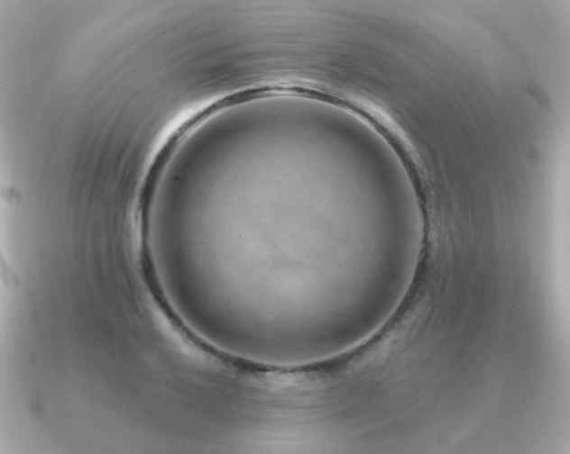 X0000091231032200708091414