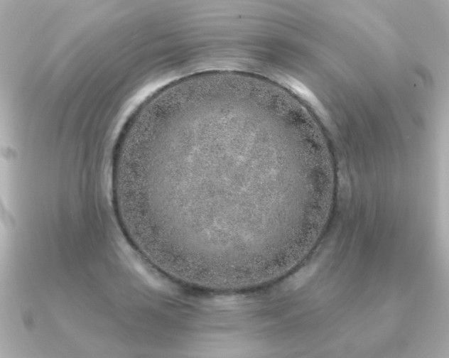 X0000091231035200708091414