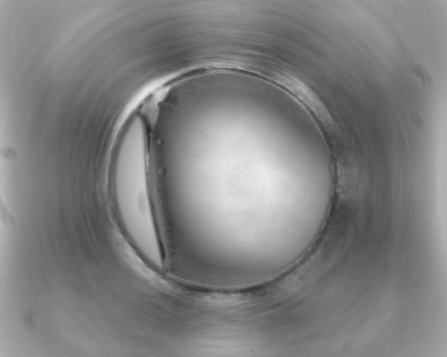 X0000091231036200708091414