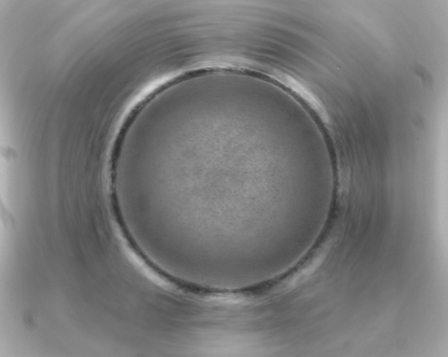 X0000091231037200708091414