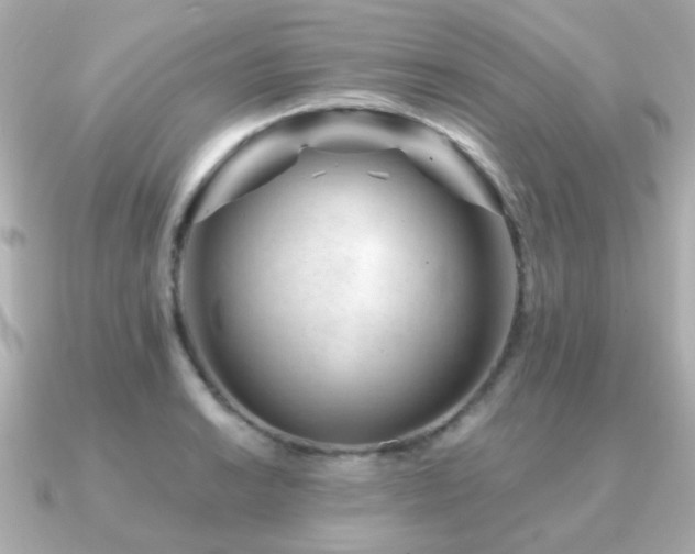 X0000091231038200708091414