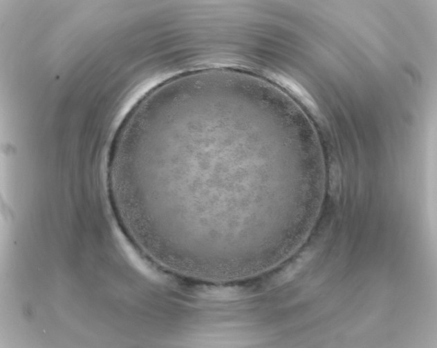 X0000091231039200708091414