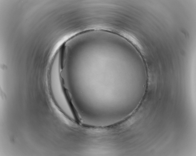 X0000091231040200708091414