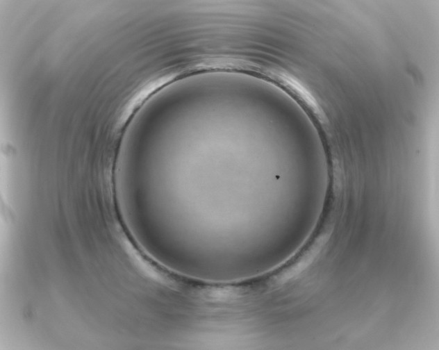 X0000091231041200708091414