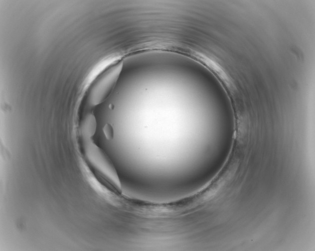 X0000091231042200708091414