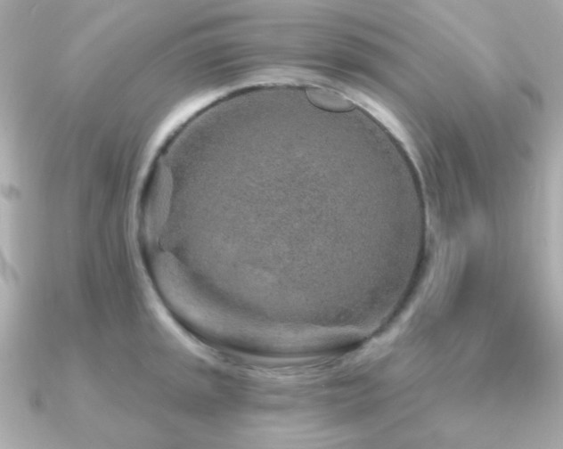 X0000091231045200708091414