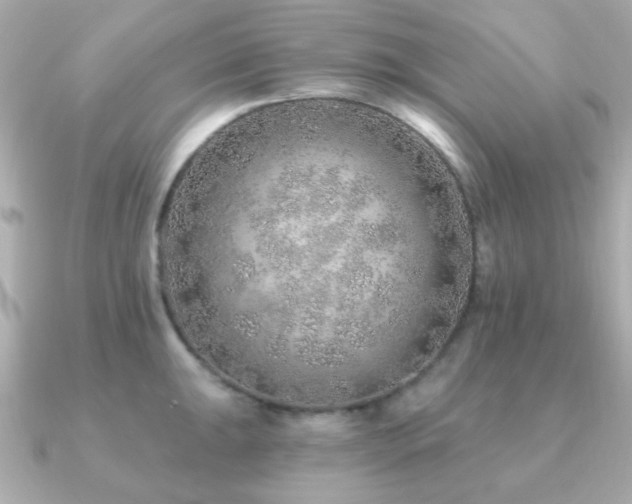 X0000091231047200708091414