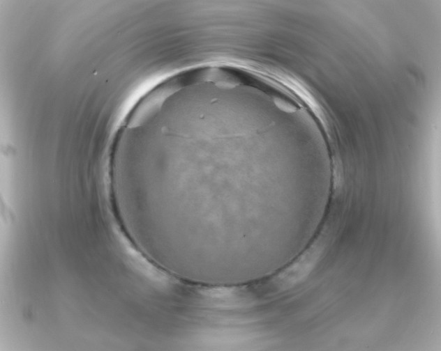 X0000091231048200708091414