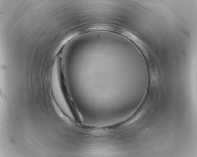 X0000091231049200708091414