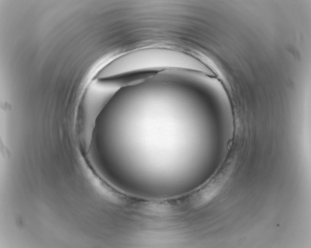 X0000091231050200708091414