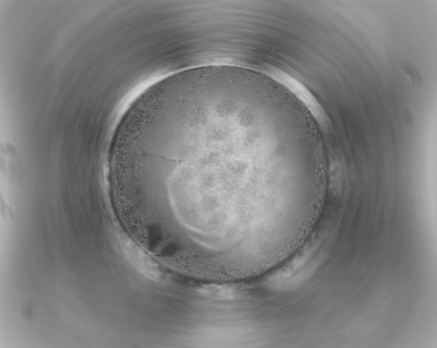 X0000091231051200708091414