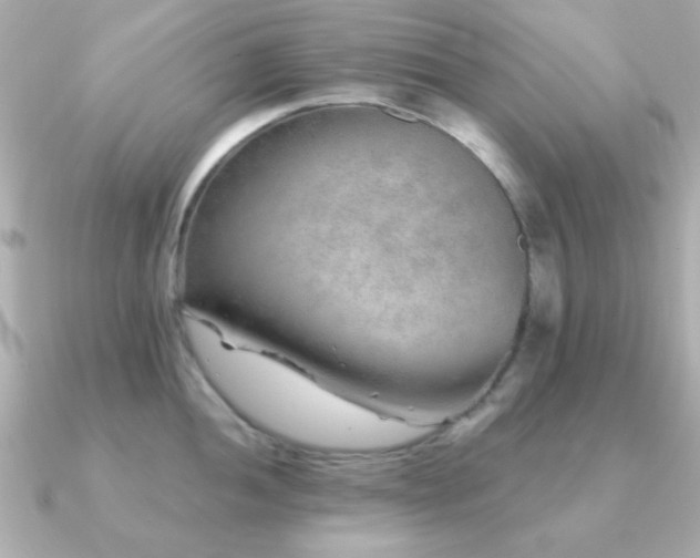 X0000091231052200708091414