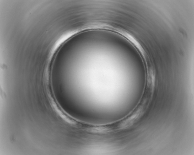 X0000091231053200708091414