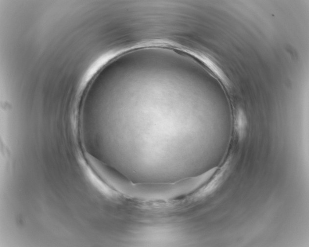 X0000091231054200708091414