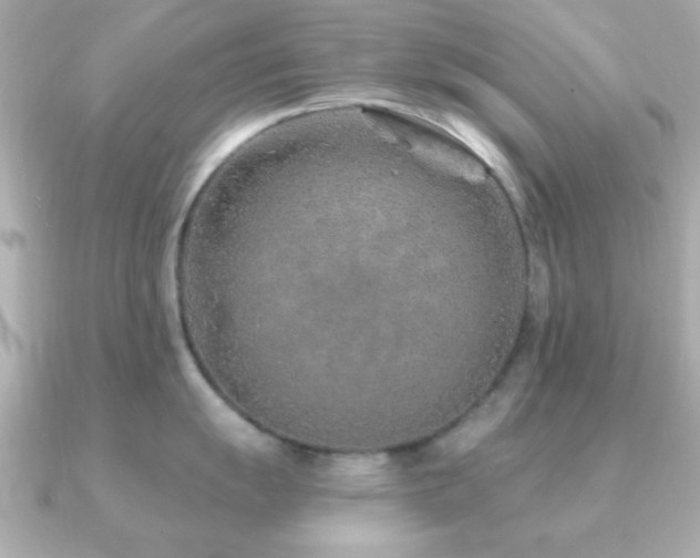 X0000091231055200708091414
