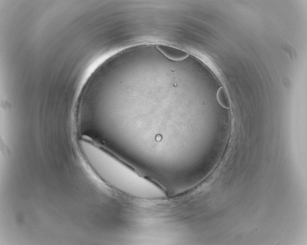 X0000091231056200708091414