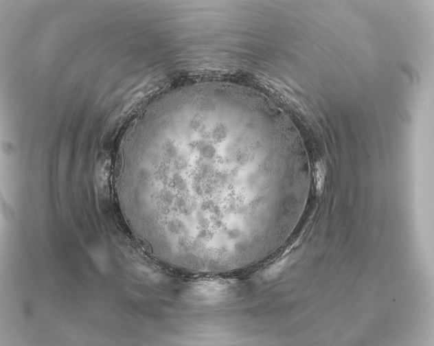 X0000091231059200708091414